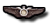 Pilotenschwingen.png