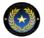 Command Directorate.png
