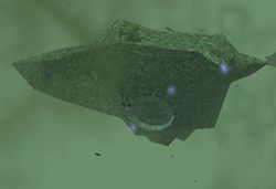 Ruiz Base.jpg