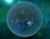 Planet Soledad.jpg