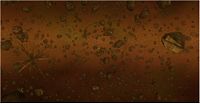 BMM Gold Field.jpg