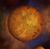 Planet Drome.jpg