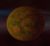 Planet Shirley.jpg
