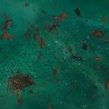 Thumbnail for version as of 11:05, 26 May 2018