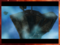 AI9Arch.png