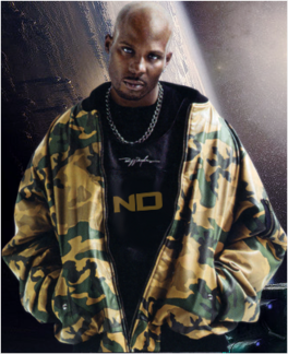 Dmx 525.png