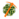 MollysLogo.png