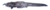 Gaian dessy.png