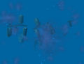 Thumbnail for version as of 09:59, 7 February 2009