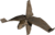 Pi elite.png