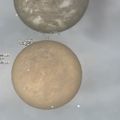 Thumbnail for version as of 21:09, 20 May 2018