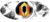 312312.png