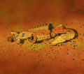 Thumbnail for version as of 15:32, 19 March 2009