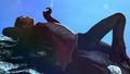 Thumbnail for version as of 01:35, 3 March 2011