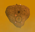 Thumbnail for version as of 17:08, 21 April 2014