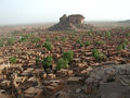 Thumbnail for version as of 13:56, 16 May 2011