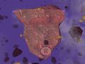 Thumbnail for version as of 13:38, 5 March 2019