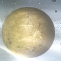 Thumbnail for version as of 18:01, 18 May 2018