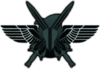 Bdm 02.png