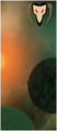 Thumbnail for version as of 16:31, 6 February 2011