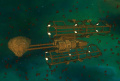 Thumbnail for version as of 07:20, 3 February 2017