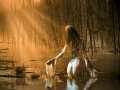 Thumbnail for version as of 09:06, 21 November 2015