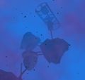Thumbnail for version as of 20:03, 26 April 2012