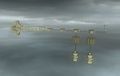 Thumbnail for version as of 12:03, 18 February 2012