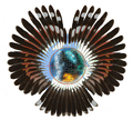 Thumbnail for version as of 19:35, 27 January 2013