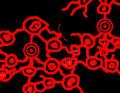 Thumbnail for version as of 10:14, 27 June 2013