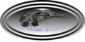 Thumbnail for version as of 19:11, 3 January 2013