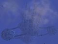 Thumbnail for version as of 15:25, 19 April 2012