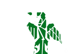 White VWA logo.png