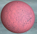 Thumbnail for version as of 00:24, 20 November 2009