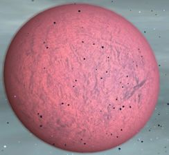 Planet Arriendo.jpg