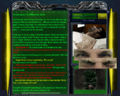 Thumbnail for version as of 08:01, 2 October 2010