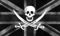 Jolly Roger.jpg