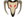 Flag-corsairs.png