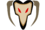 Flag-corsairs.png