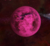 Planet Toulouse.png