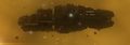 Thumbnail for version as of 18:25, 2 June 2020