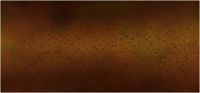 Molly Gold Field.jpg