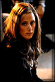AdriennePerrydiscowiki3.jpg