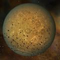 Thumbnail for version as of 06:15, 26 June 2012