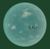 Planet Kurile.jpg