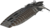 Bsg.png