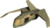 QQoiil6.png