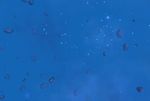 Sarre Nebula.JPG