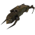 Armicustos.png