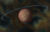 Planet Soltau.jpg